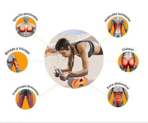 Rodillo abdominal pro con rebote automático C